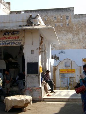 pushkar_lakeview3.jpg