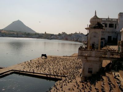 pushkar_lakeview4.jpg