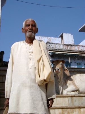 pushkar_lakeview_cow_baba.jpg